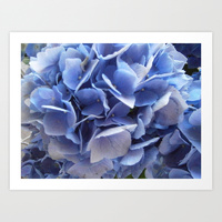 blue garden flower print