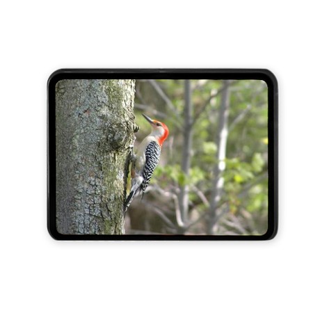 Red Headed Woodpecker Hitch Cover by listing-store-11861778