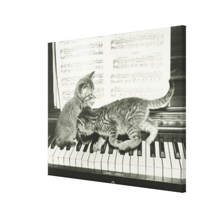 two_kitten_playing_on_piano_keyboard_b_w_canvas-rf99dc91b0bde454fa3fc671287615490_ff5je_xwzoe_425