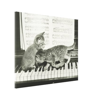 two_kitten_playing_on_piano_keyboard_b_w_canvas-rf99dc91b0bde454fa3fc671287615490_xk88u_xwzpz_425