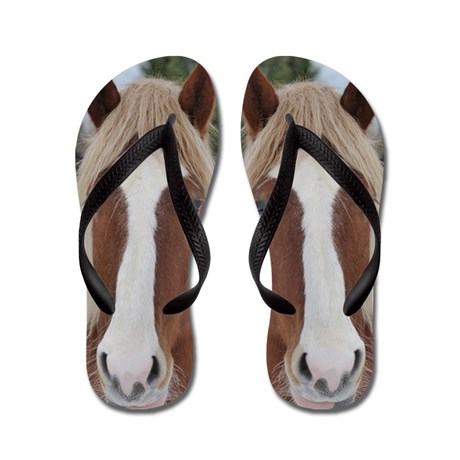 horse is a cute pet animal Flip Flops by designsanddesigns