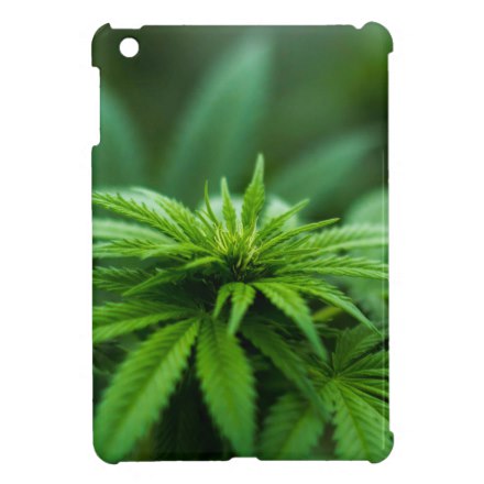 Marijuana Photograph Case For The iPad Mini